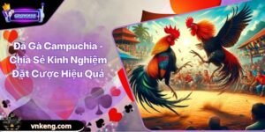 Đá Gà Campuchia - Chia Sẻ Kinh Nghiệm Đặt Cược Hiệu Quả