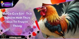 Đá Gà Cựa Sắt - Trải Nghiệm Hình Thức Giải Trí Truyền Thống