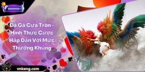 Đá Gà Cựa Tròn - Hình Thức Cược Hấp Dẫn Với Mức Thưởng Khủng