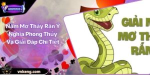 Nằm Mơ Thấy Rắn Ý Nghĩa Phong Thủy Và Giải Đáp Chi Tiết