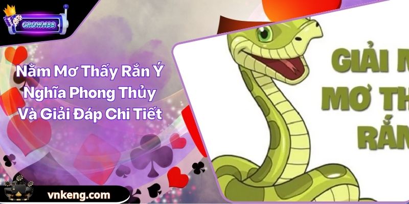 Nằm Mơ Thấy Rắn Ý Nghĩa Phong Thủy Và Giải Đáp Chi Tiết